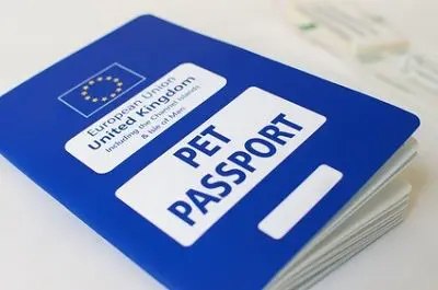 Thrums Vet pets-passport Thrums Vet pets-passport
