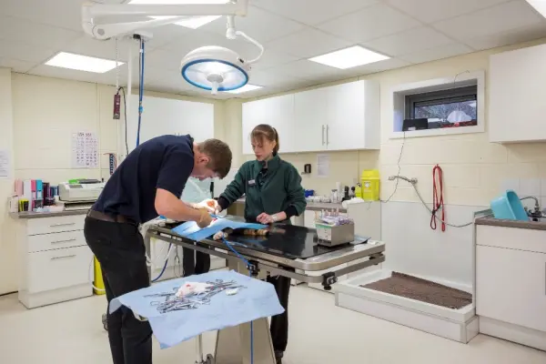 Thrums Vets blairgowrie preparation room