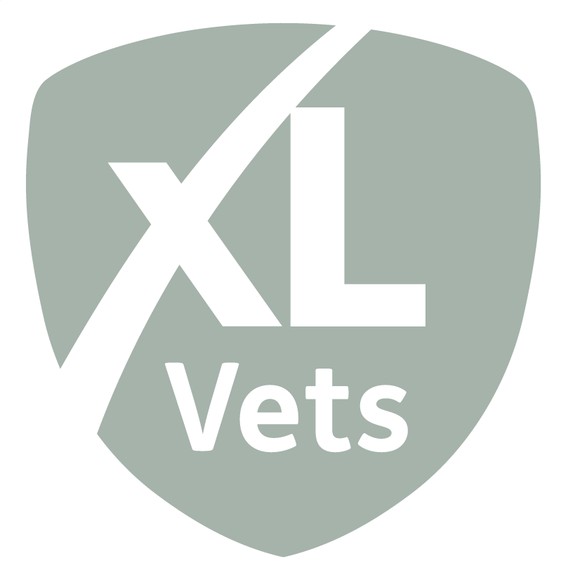 Thrums Vet XLVets-GREY-RGB-01 Thrums Vet XLVets-GREY-RGB-01