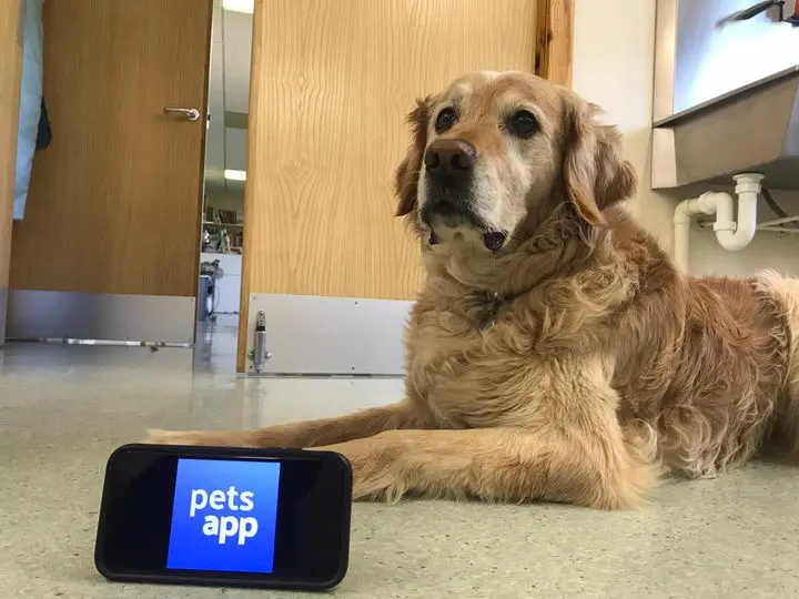 Thrums Vet Perthsire & Angus Mobile App