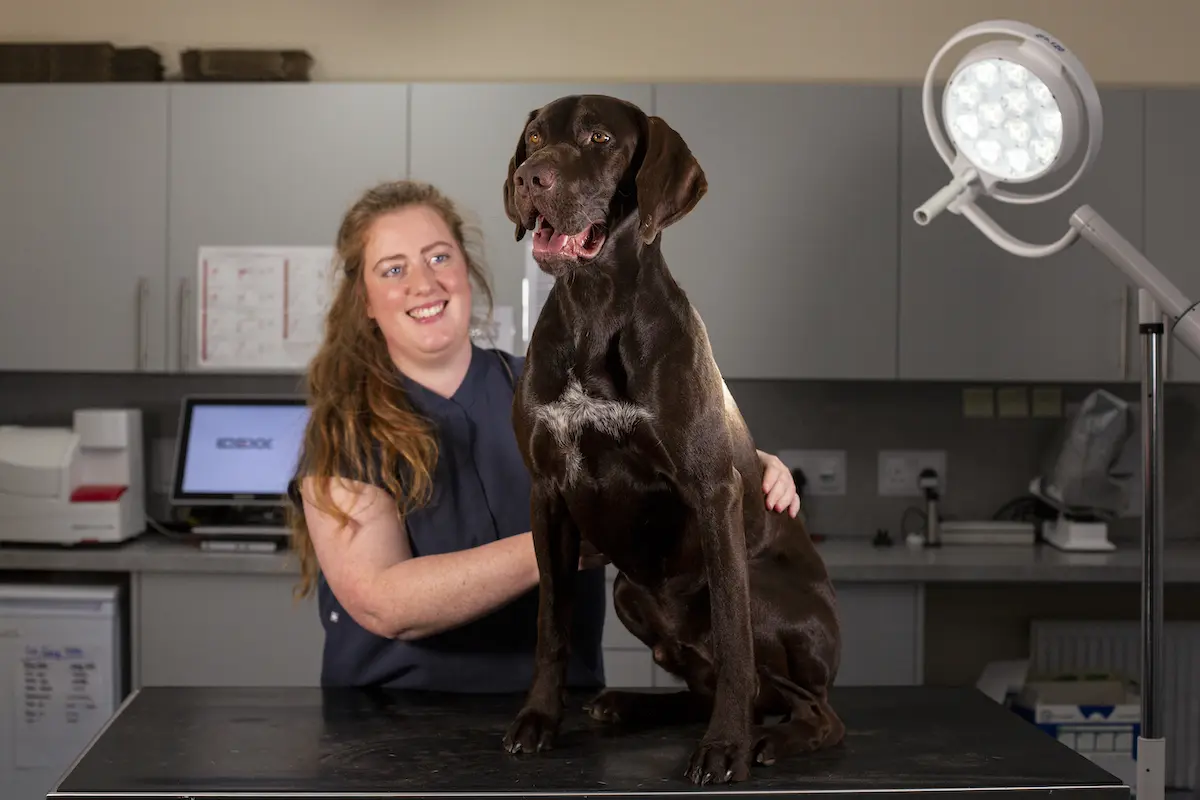 Thrums Vets Scone, Perth: Catherine & Suilven