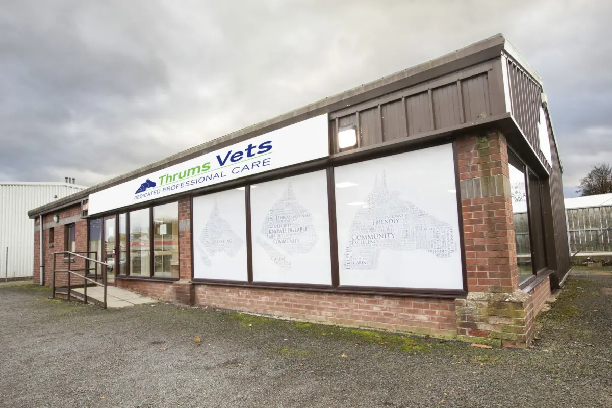 Thrums Vets Forfar Vets External Thrums Vets Forfar Vets External