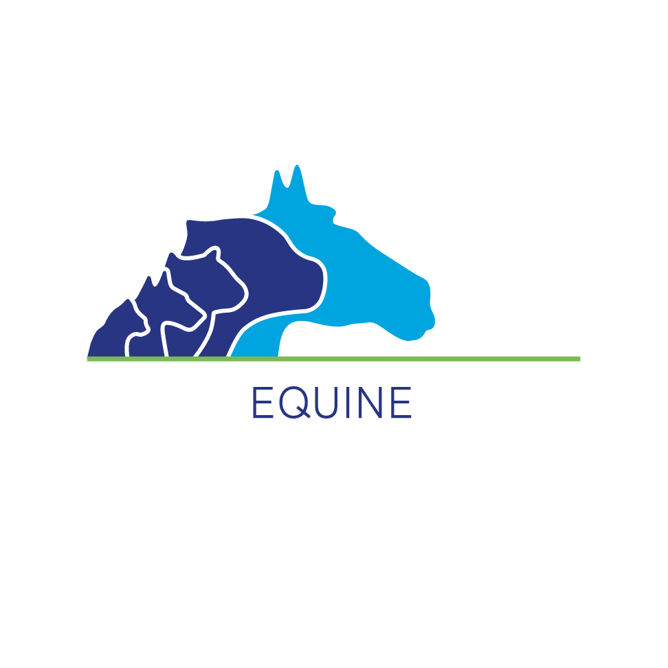 Thrums Vets Equine logo