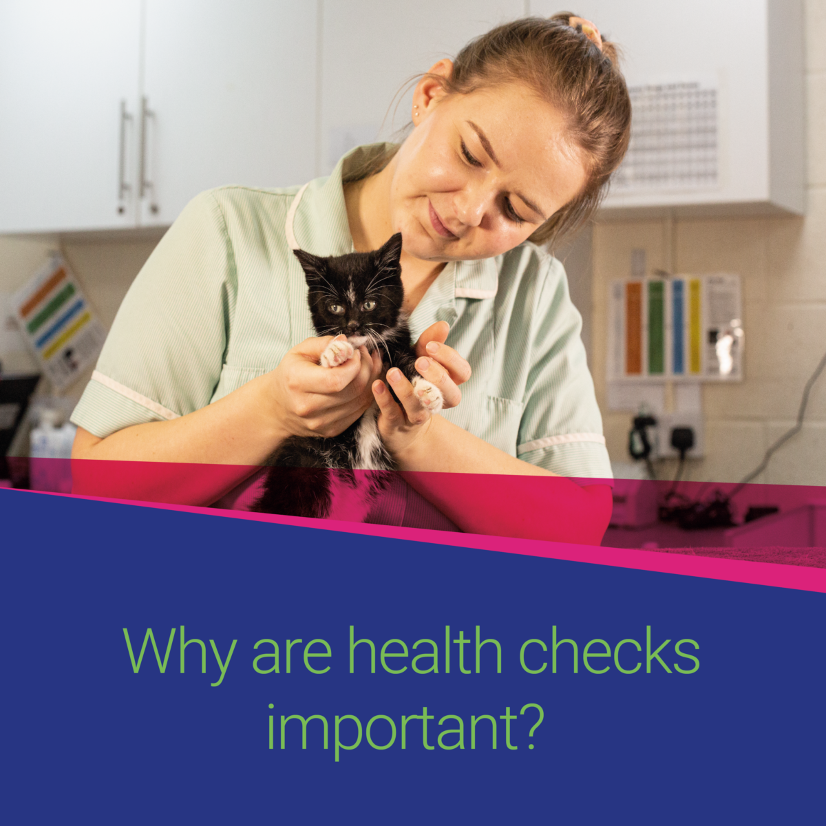 Thrums Vets practice why are health checks important? Thrums Vets practice why are health checks important?