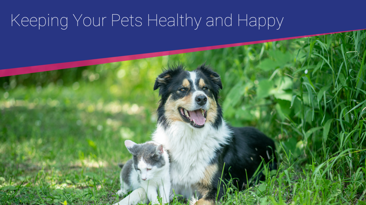 Thrums Vets keeping your pets healthy and happy Thrums Vets keeping your pets healthy and happy