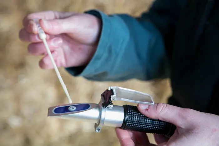 Thrums Vets “Sample testing with refractometer”