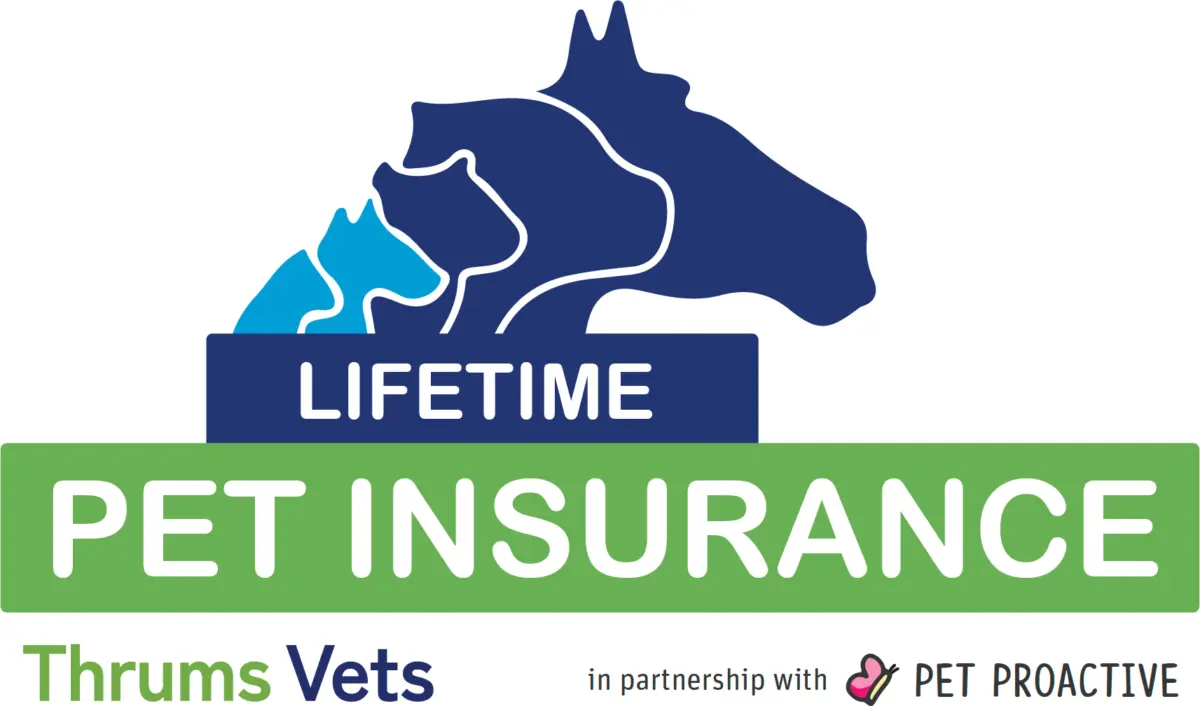 Thrums Vets Pet Insurance