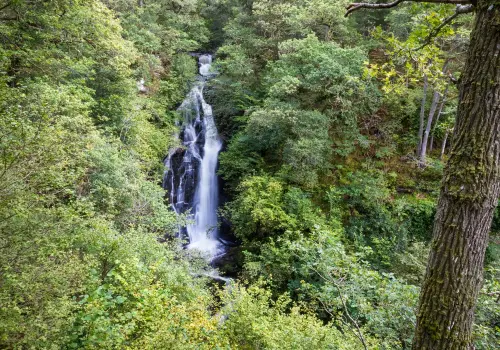 Thrums Vets Black Spout Waterfall, Perth Black Spout Waterfall, Perth
