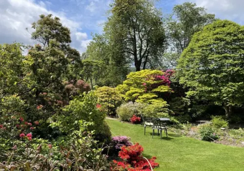 Thrums Vets Branklyn Gardens, Scone, Perth. Branklyn Gardens, Scone, Perth.