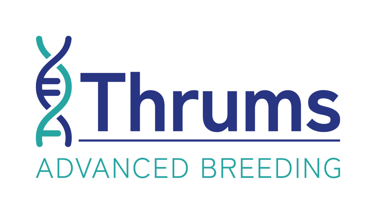 Thrums Vets: Advanced Breeding logo Thrums Vets: Advanced Breeding logo