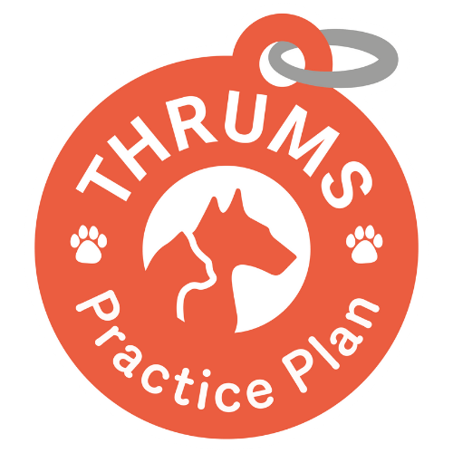 Thrums Vets: Practice Plan logo