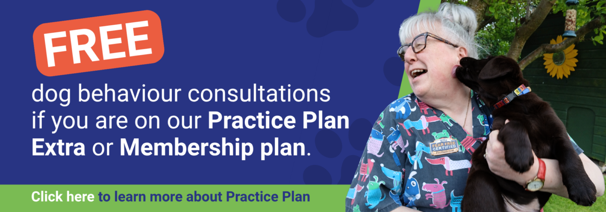 Thrums Vets: Dog behaviourist service