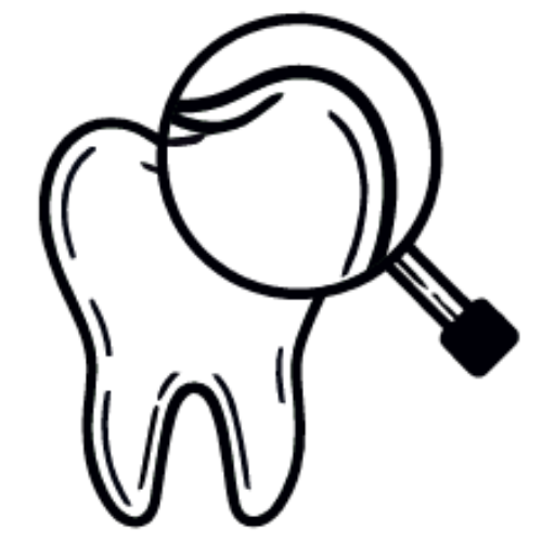 Thrums Vets: Dental health check Thrums Vets: Dental health check