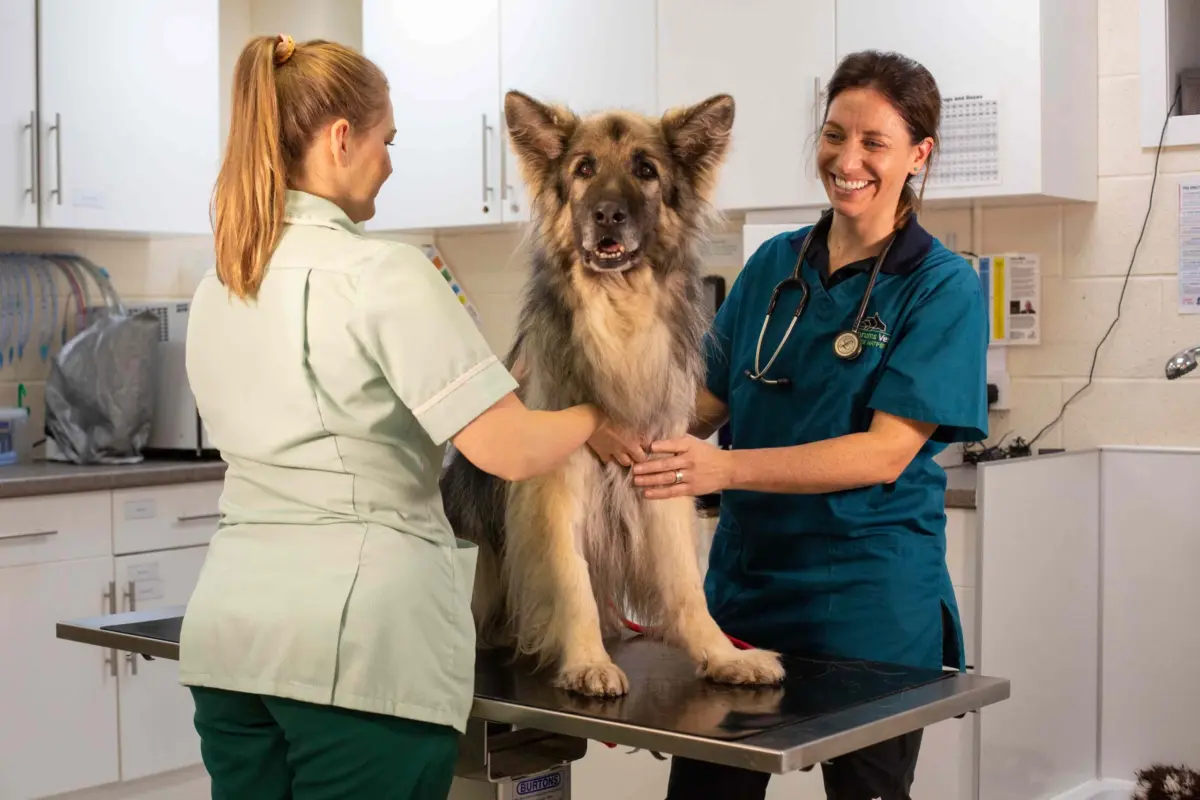 Emily and Kerry with Shadow at Thrums Vets Emily and Kerry with Shadow at Thrums Vets