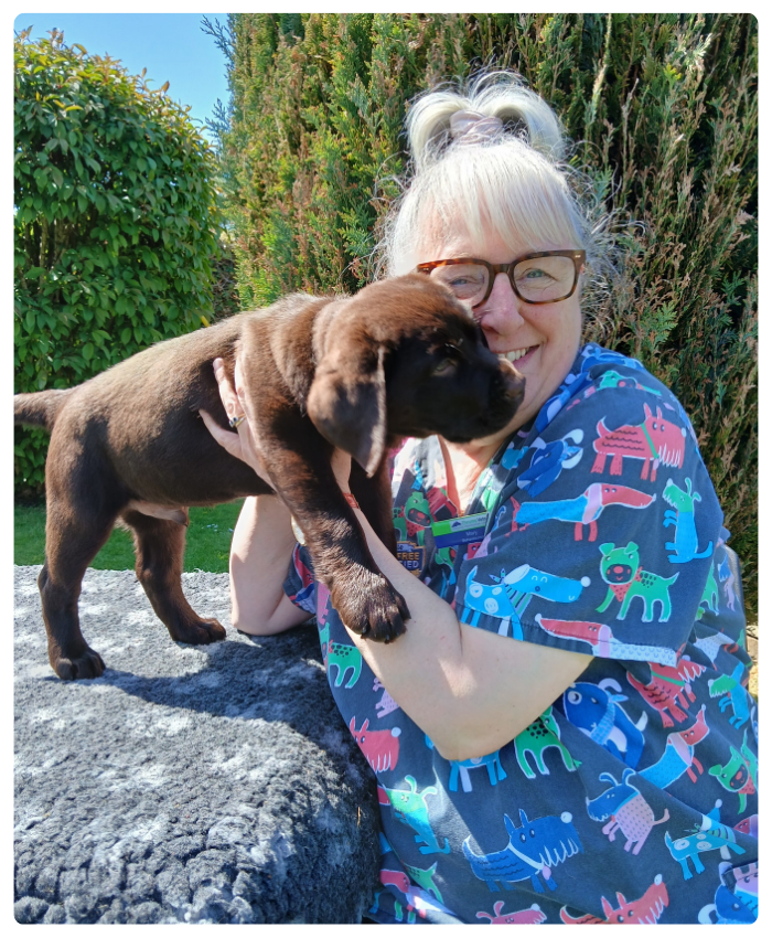 Thrums Vet Mary and Moose 700 x 850 px Mary and Moose, the brown labrador