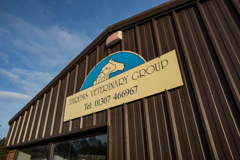 See inside Forfar surgery with our visual tour Thrums Veterinary Group