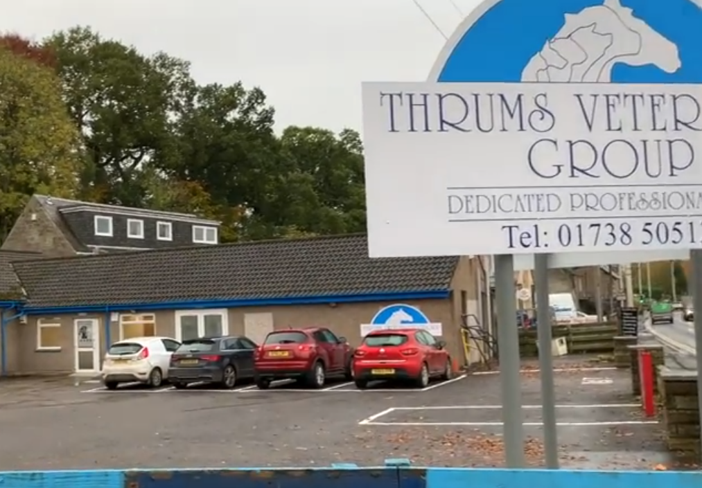 Thrums Vet Practice, Scone, Angus & Perthshire