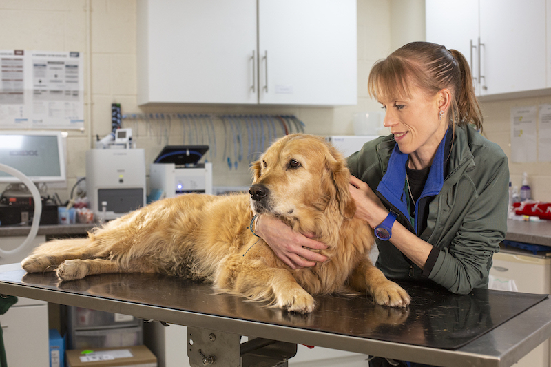 thrumsvet: emergencies