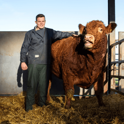 Thrums Vets: Ed and a happy bull Thrums Vets: Ed and a happy bull