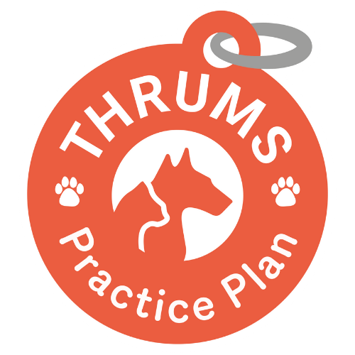 Thrums Vets: Practice Plan logo