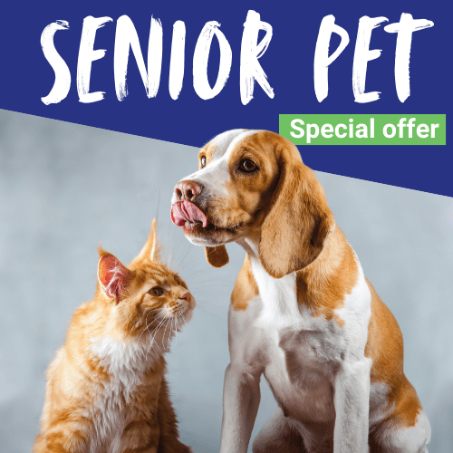 Thrums Vets: Senior pet offer