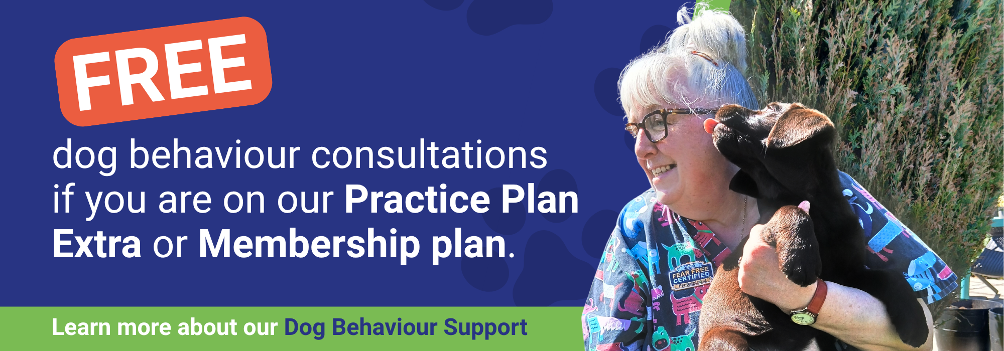 Thrums Vets: Dog behaviourist service