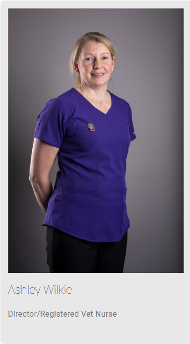 Thrums Vets: Ashley Wilkie
