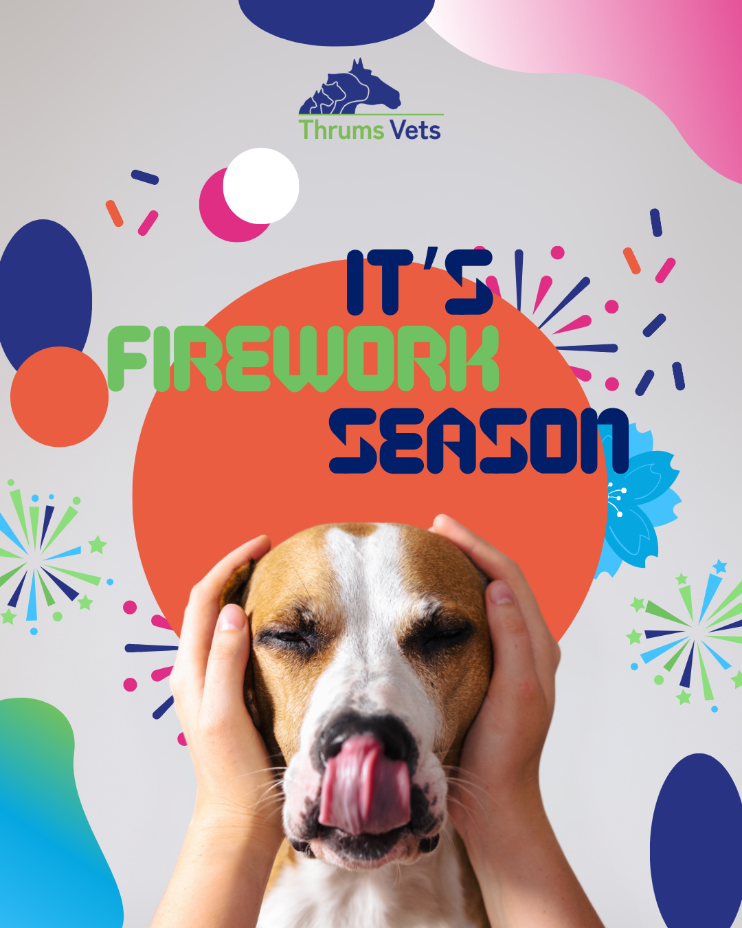 Thrums Vets: Firework season