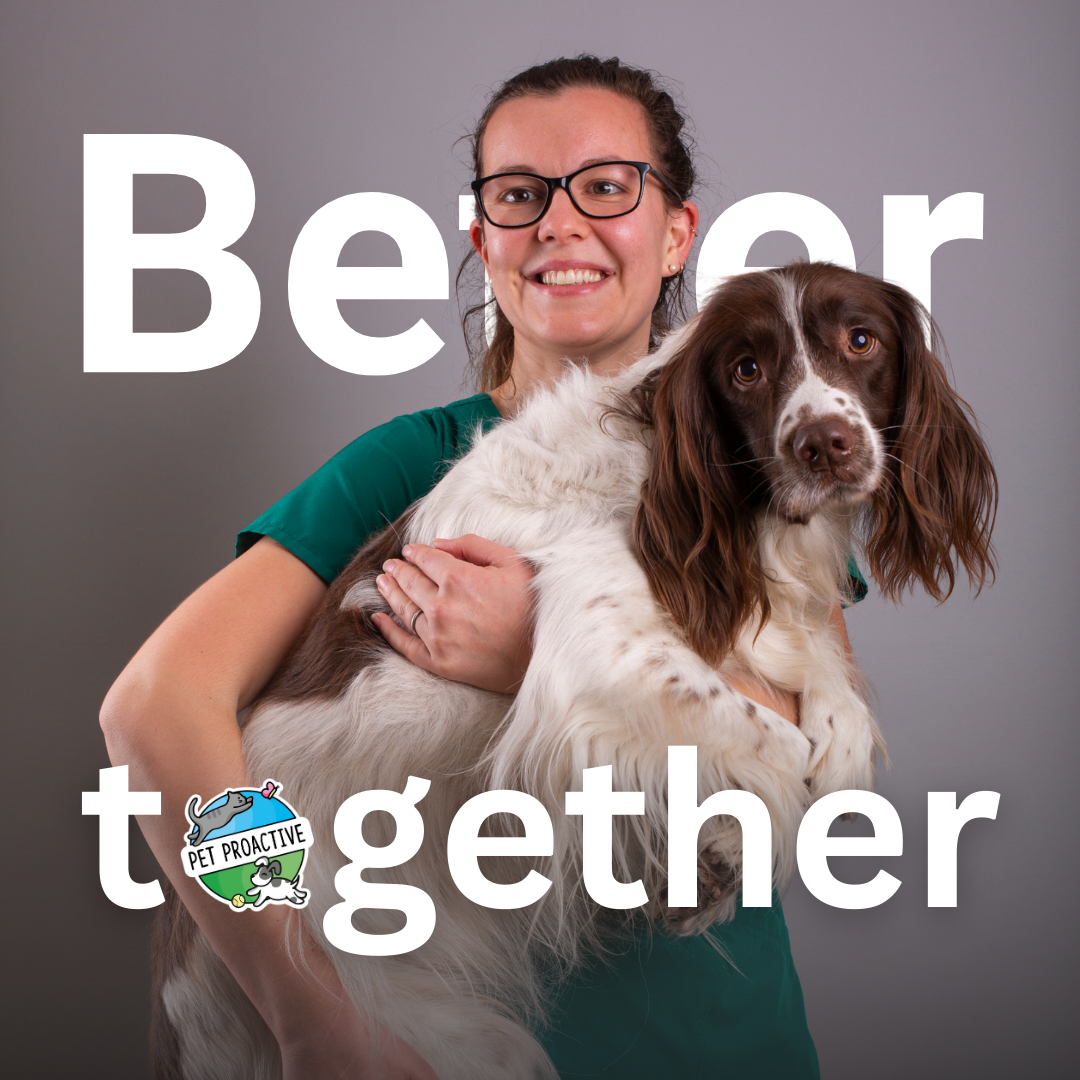 Pet Proactive pet insurance at Thrums Vets Pet Proactive pet insurance at Thrums Vets