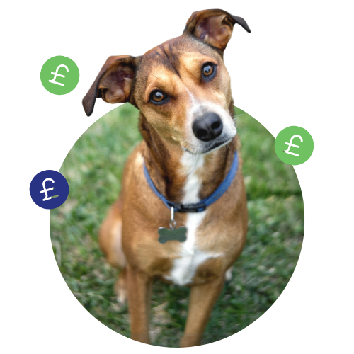 Thrums Vets: Pay in 3 Thrums Vets: Pay in 3