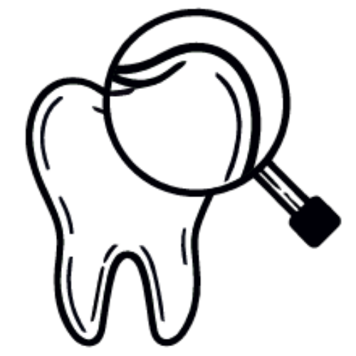 Thrums Vets: Dental health check