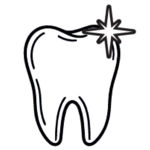 Thrums Vets: Dental scale and polish