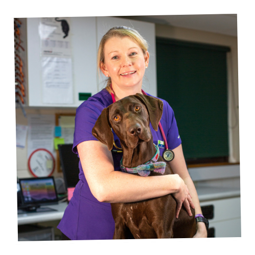 Thrums Vets: Ashley Wilkie